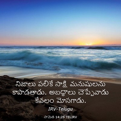 Picture 03 - సామెత 14:25 TELIRV - నిజాలు పలికే - Bible Verse Picture