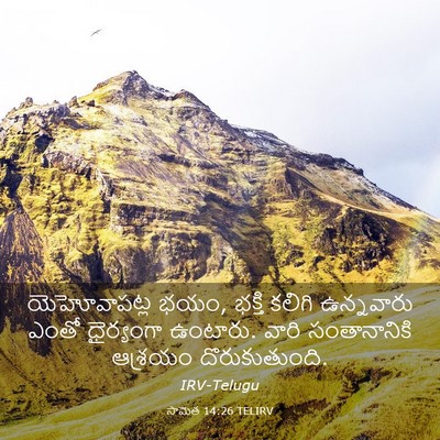 Picture 03 - సామెత 14:26 TELIRV - యెహోవాపట్ల భయం, - Bible Verse Picture