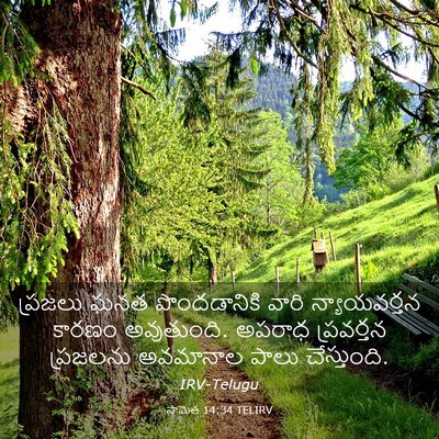 Picture 03 - సామెత 14:34 TELIRV - ప్రజలు ఘనత - Bible Verse Picture