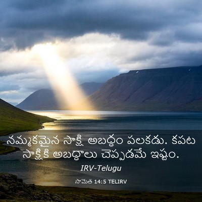 Picture 03 - సామెత 14:5 TELIRV - నమ్మకమైన సాక్షి - Bible Verse Picture