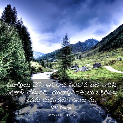 Picture 03 - సామెత 14:9 TELIRV - మూర్ఖులు చేసే - Bible Verse Picture