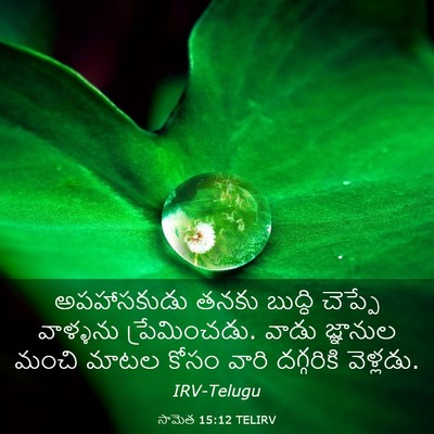 Picture 03 - సామెత 15:12 TELIRV - అపహాసకుడు తనకు - Bible Verse Picture