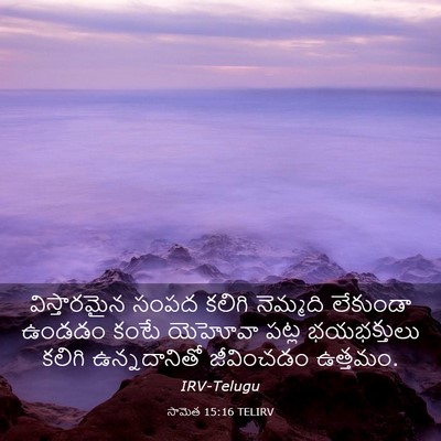 Picture 03 - సామెత 15:16 TELIRV - విస్తారమైన సంపద - Bible Verse Picture