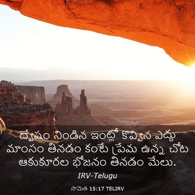 Picture 03 - సామెత 15:17 TELIRV - ద్వేషం నిండిన - Bible Verse Picture