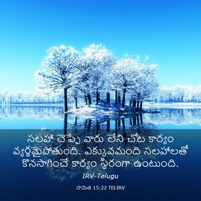 Picture 03 - సామెత 15:22 TELIRV - సలహా చెప్పే వారు - Bible Verse Picture
