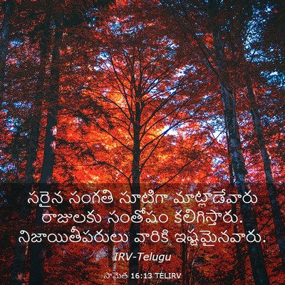 Picture 03 - సామెత 16:13 TELIRV - సరైన సంగతి సూటిగా - Bible Verse Picture