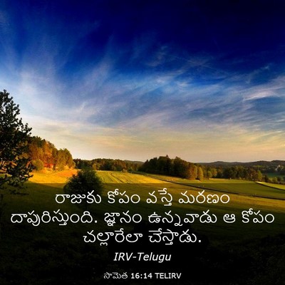 Picture 03 - సామెత 16:14 TELIRV - రాజుకు కోపం వస్తే - Bible Verse Picture