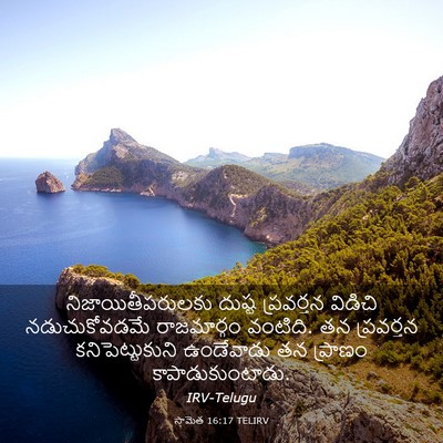 Picture 03 - సామెత 16:17 TELIRV - నిజాయితీపరులకు - Bible Verse Picture