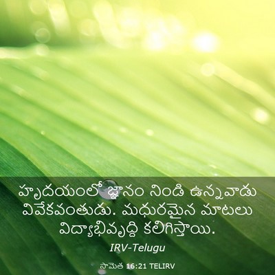 Picture 03 - సామెత 16:21 TELIRV - హృదయంలో జ్ఞానం - Bible Verse Picture