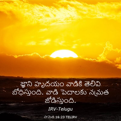 Picture 03 - సామెత 16:23 TELIRV - జ్ఞాని హృదయం - Bible Verse Picture