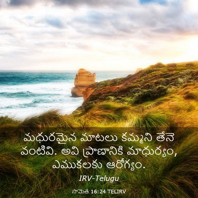 Picture 03 - సామెత 16:24 TELIRV - మధురమైన మాటలు - Bible Verse Picture