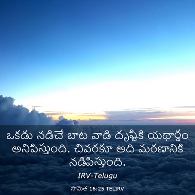 Picture 03 - సామెత 16:25 TELIRV - ఒకడు నడిచే బాట - Bible Verse Picture
