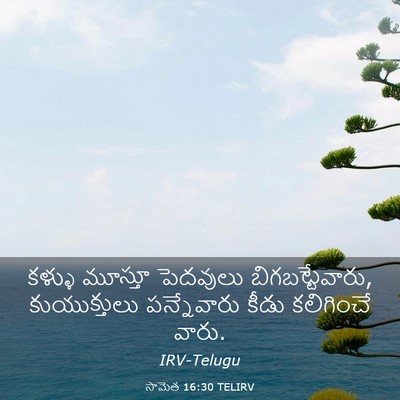 Picture 03 - సామెత 16:30 TELIRV - కళ్ళు మూస్తూ - Bible Verse Picture
