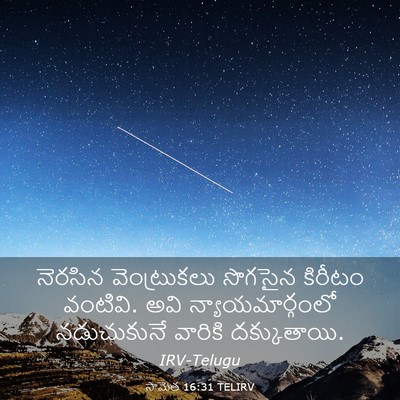Picture 03 - సామెత 16:31 TELIRV - నెరసిన వెంట్రుకలు - Bible Verse Picture