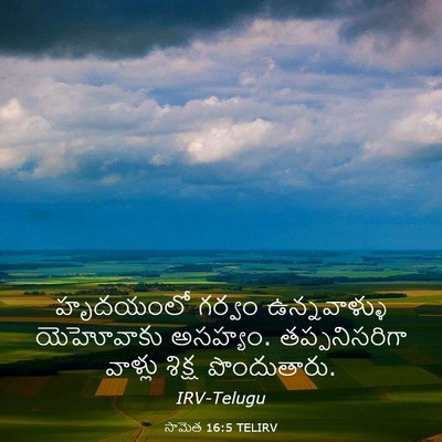 Picture 03 - సామెత 16:5 TELIRV - హృదయంలో గర్వం - Bible Verse Picture