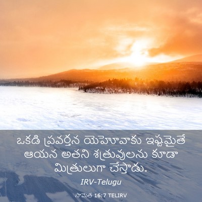Picture 03 - సామెత 16:7 TELIRV - ఒకడి ప్రవర్తన - Bible Verse Picture