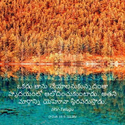 Picture 03 - సామెత 16:9 TELIRV - ఒకడు తాను - Bible Verse Picture