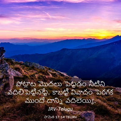Picture 03 - సామెత 17:14 TELIRV - పోట్లాట మొదలు - Bible Verse Picture