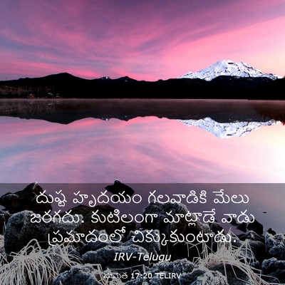 Picture 03 - సామెత 17:20 TELIRV - దుష్ట హృదయం - Bible Verse Picture