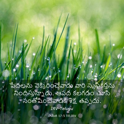 Picture 03 - సామెత 17:5 TELIRV - పేదలను - Bible Verse Picture