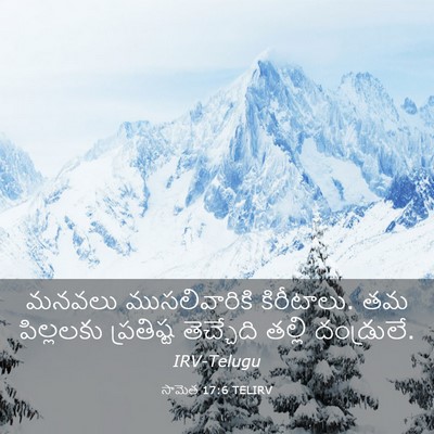 Picture 03 - సామెత 17:6 TELIRV - మనవలు ముసలివారికి - Bible Verse Picture