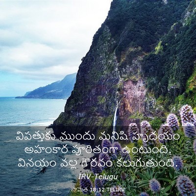 Picture 03 - సామెత 18:12 TELIRV - విపత్తుకు ముందు - Bible Verse Picture