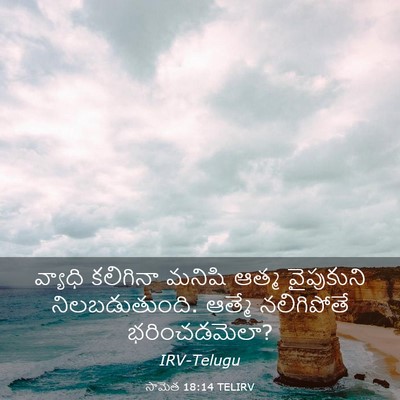 Picture 03 - సామెత 18:14 TELIRV - వ్యాధి కలిగినా - Bible Verse Picture