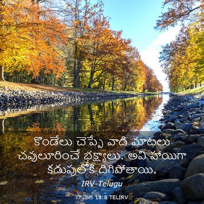 Picture 03 - సామెత 18:8 TELIRV - కొండేలు చెప్పే - Bible Verse Picture