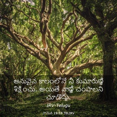 Picture 03 - సామెత 19:18 TELIRV - అనువైన కాలంలోనే - Bible Verse Picture