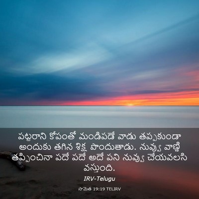 Picture 03 - సామెత 19:19 TELIRV - పట్టరాని కోపంతో - Bible Verse Picture