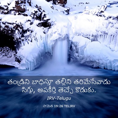 Picture 03 - సామెత 19:26 TELIRV - తండ్రిని బాధిస్తూ - Bible Verse Picture
