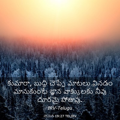 Picture 03 - సామెత 19:27 TELIRV - కుమారా, బుద్ధి - Bible Verse Picture