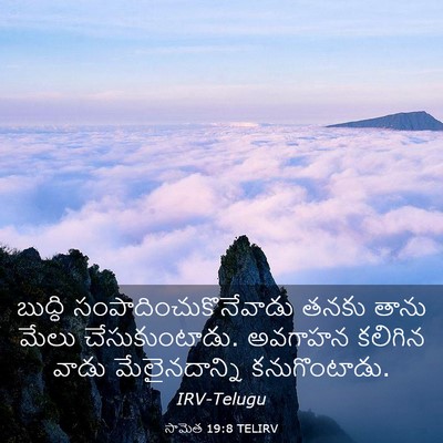 Picture 03 - సామెత 19:8 TELIRV - బుద్ధి - Bible Verse Picture