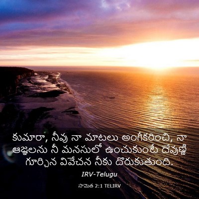 Picture 03 - సామెత 2:1 TELIRV - కుమారా, నీవు నా - Bible Verse Picture