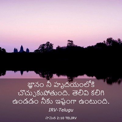 Picture 03 - సామెత 2:10 TELIRV - జ్ఞానం నీ - Bible Verse Picture