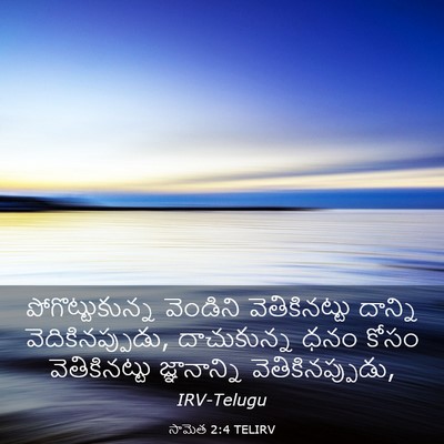 Picture 03 - సామెత 2:4 TELIRV - పోగొట్టుకున్న - Bible Verse Picture