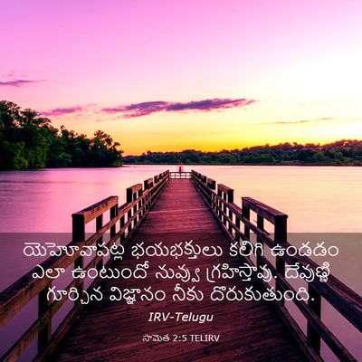 Picture 03 - సామెత 2:5 TELIRV - యెహోవాపట్ల - Bible Verse Picture