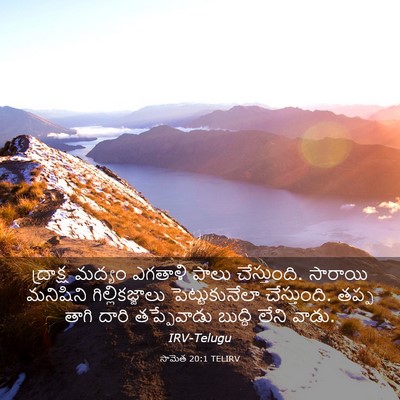 Picture 03 - సామెత 20:1 TELIRV - ద్రాక్ష మద్యం - Bible Verse Picture