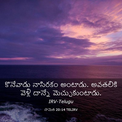 Picture 03 - సామెత 20:14 TELIRV - కొనేవాడు నాసిరకం - Bible Verse Picture