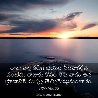 Picture 03 - సామెత 20:2 TELIRV - రాజు వల్ల కలిగే - Bible Verse Picture