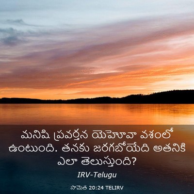 Picture 03 - సామెత 20:24 TELIRV - మనిషి ప్రవర్తన - Bible Verse Picture