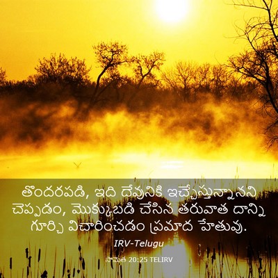 Picture 03 - సామెత 20:25 TELIRV - తొందరపడి, ఇది - Bible Verse Picture