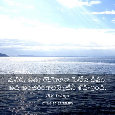 Picture 03 - సామెత 20:27 TELIRV - మనిషి ఆత్మ యెహోవా - Bible Verse Picture