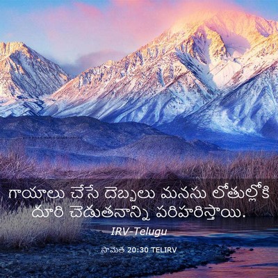 Picture 03 - సామెత 20:30 TELIRV - గాయాలు చేసే - Bible Verse Picture