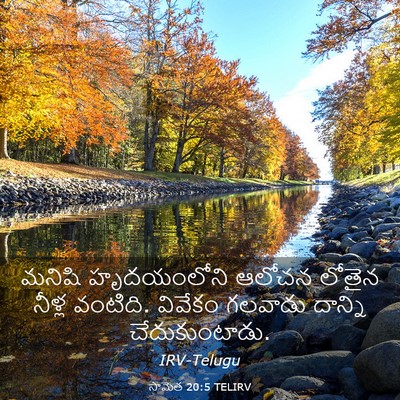 Picture 03 - సామెత 20:5 TELIRV - మనిషి హృదయంలోని - Bible Verse Picture