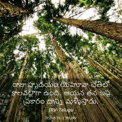 Picture 03 - సామెత 21:1 TELIRV - రాజు హృదయం యెహోవా - Bible Verse Picture