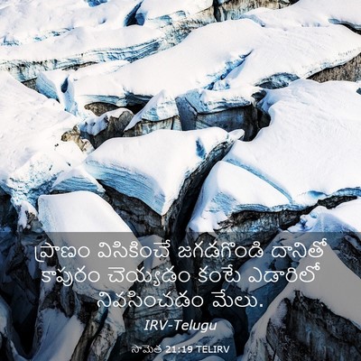 Picture 03 - సామెత 21:19 TELIRV - ప్రాణం విసికించే - Bible Verse Picture