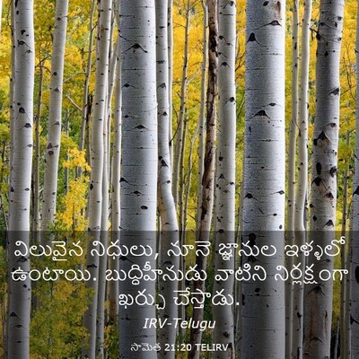 Picture 03 - సామెత 21:20 TELIRV - విలువైన నిధులు, - Bible Verse Picture