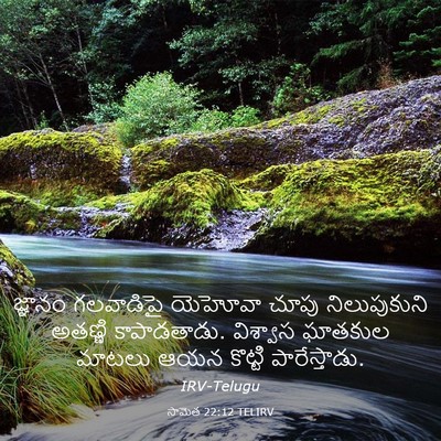 Picture 03 - సామెత 22:12 TELIRV - జ్ఞానం గలవాడిపై - Bible Verse Picture