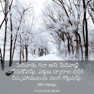 Picture 03 - సామెత 22:22 TELIRV - పేదవాడు గదా అని - Bible Verse Picture